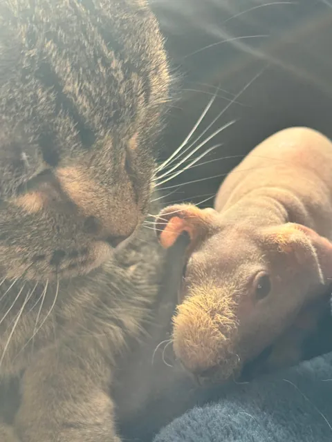 Edgar and his new baby