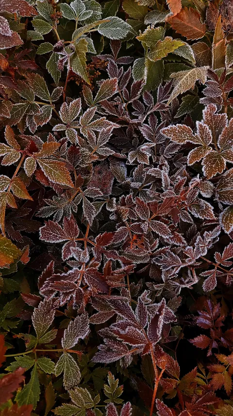 Nature is magnificent