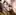 Horse breeding (KakoTheCruiser)