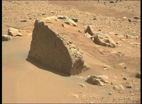 Perseverance found a sick jump on Mars.