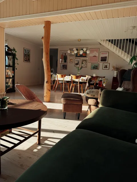 The afternoon light in my living/dining room