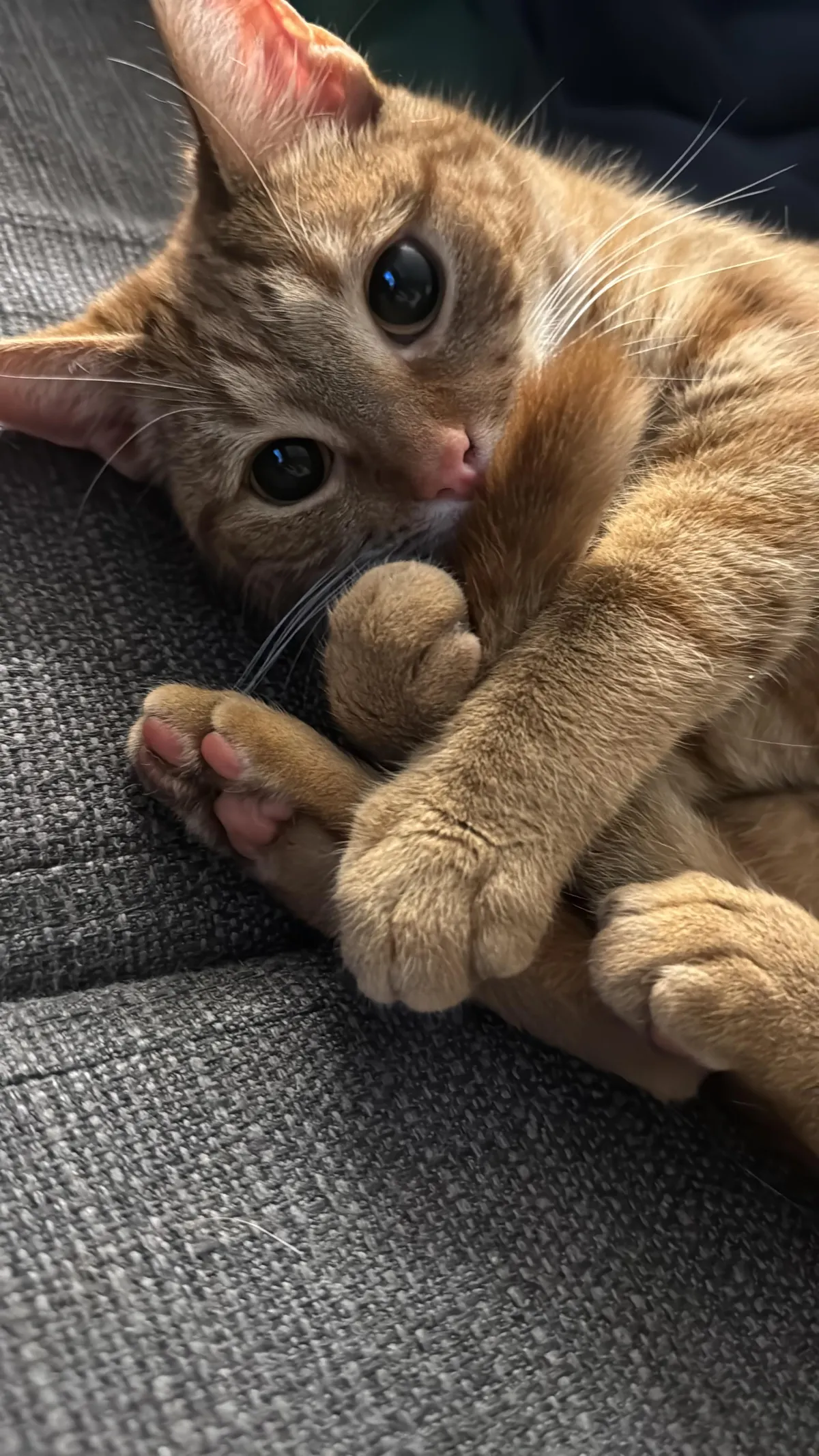 She’s my princes and she knows it