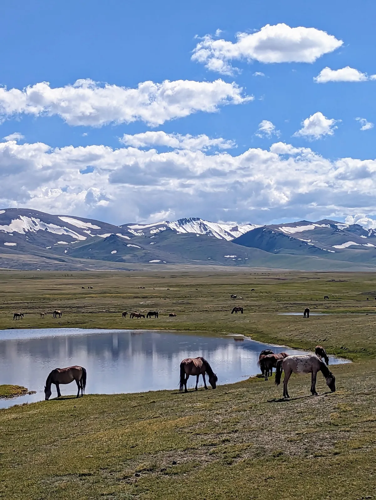 10 days in Kirghizistan with a 4WD