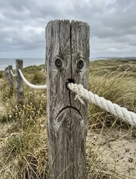 PsBattle: Post with rope going through it