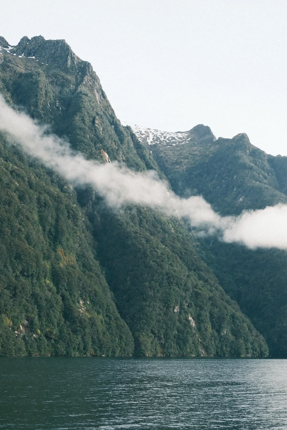 Traveling through New Zealand: Milford and Doubtful Sound