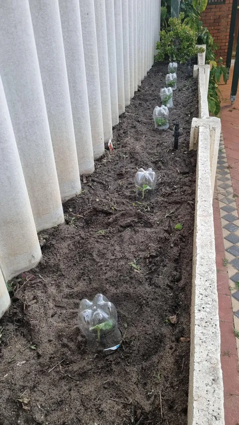 How it started vs how it's going