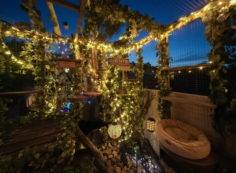 My catio during the day and night