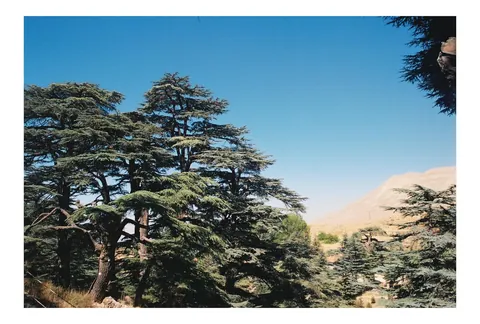 9 Days in Lebanon (September 2025)