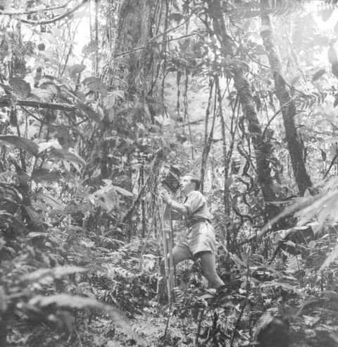 The first adventures photos of David Attenborough, in 1950s.