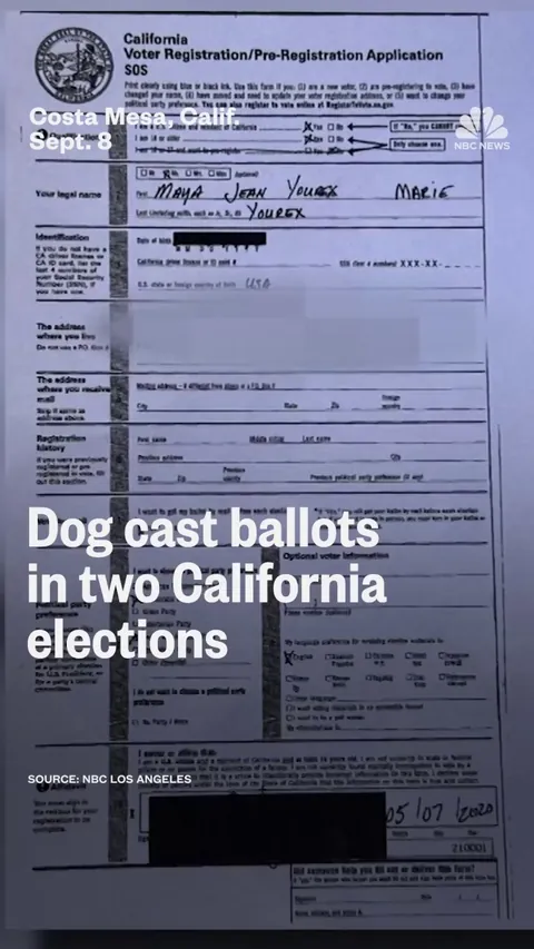 Four legs, one ballot.