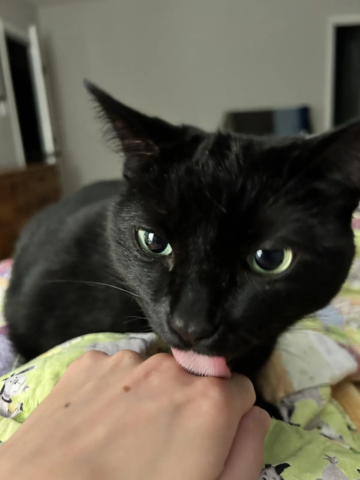 It’s Friday the 13th and you’re TASTY