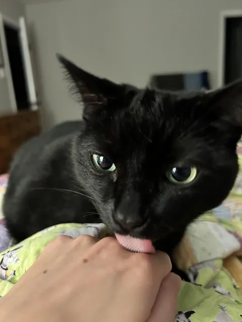 It’s Friday the 13th and you’re TASTY