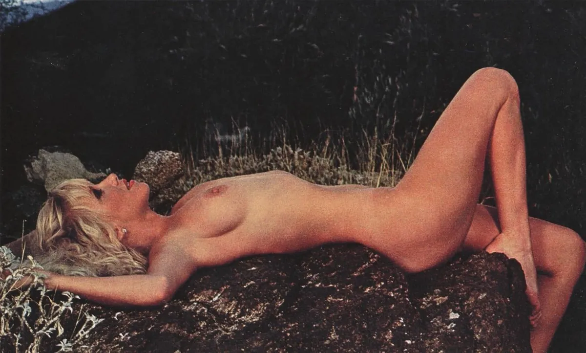 Suzanne Somers in the December 1984 issue of Playboy