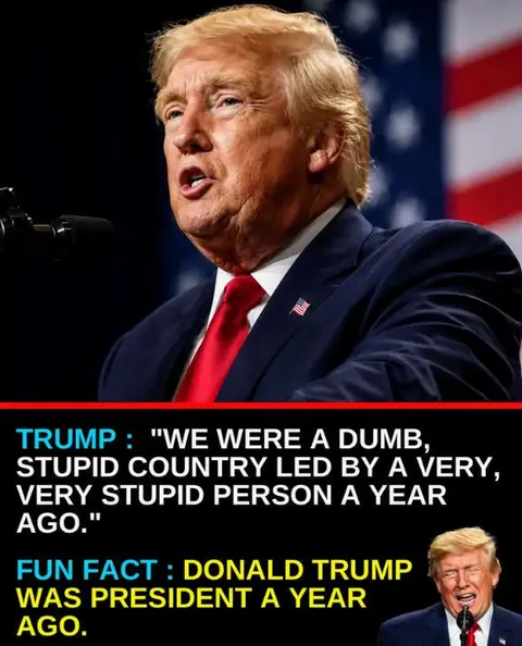 🤣