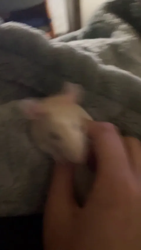 she just be letting me do anything to her bruh 😭