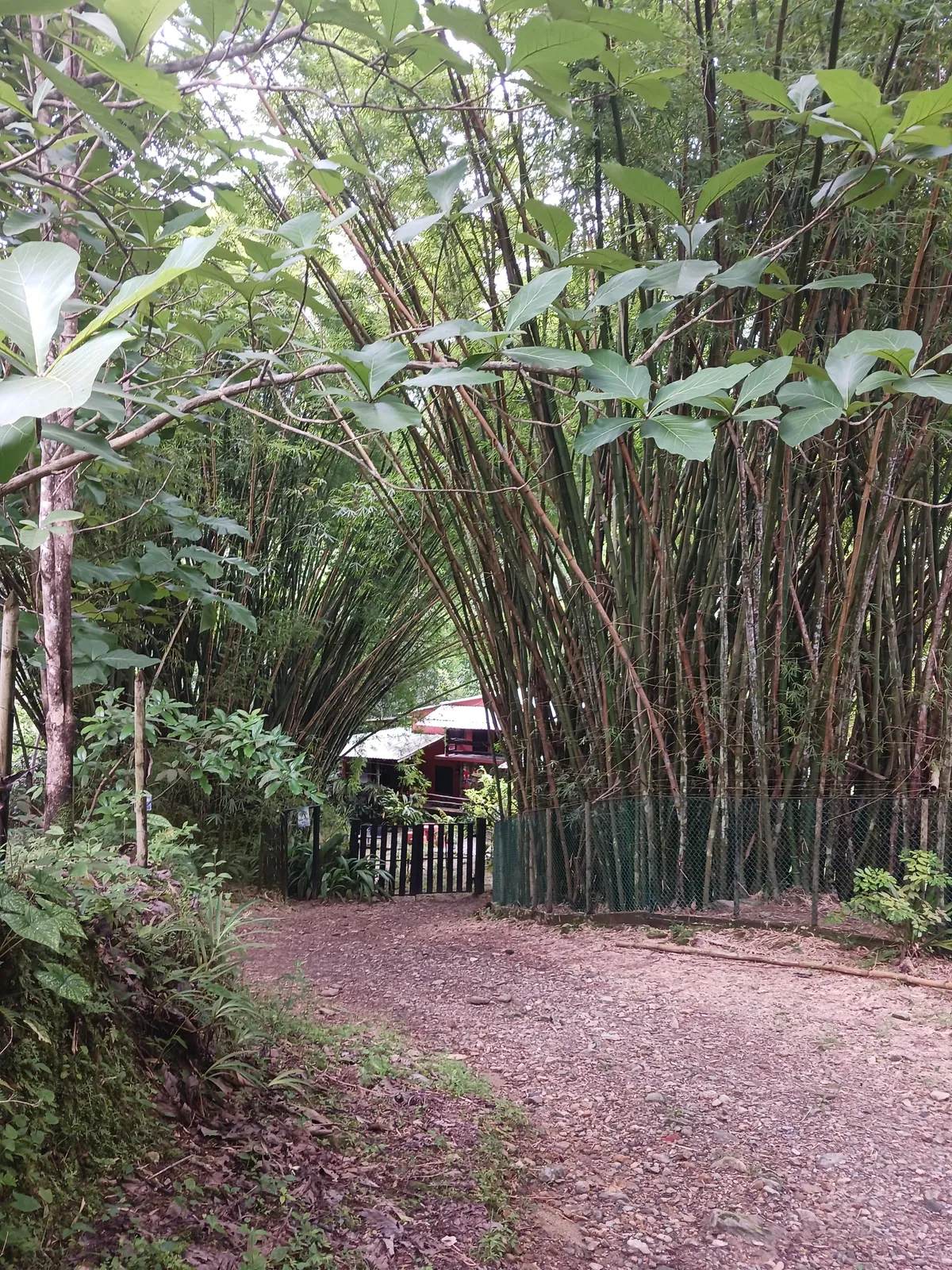 One Year in Latin America, Mexico to Patagonia