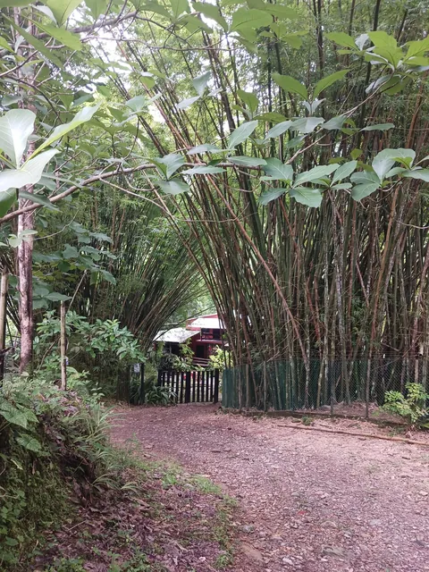 One Year in Latin America, Mexico to Patagonia