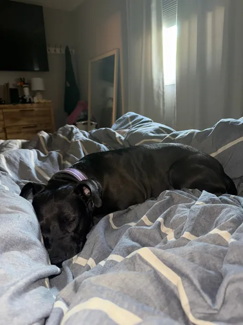 One last Waffles update here!🩷