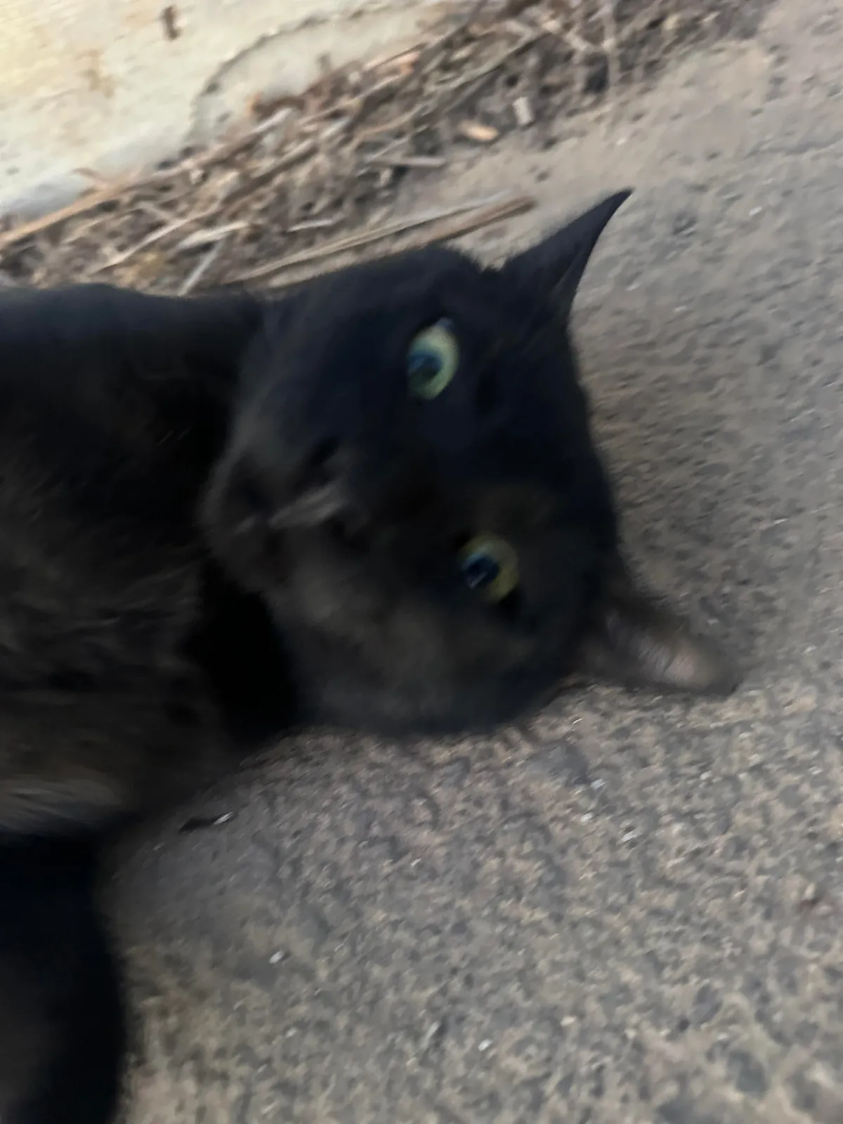 I think I really fucked up :(