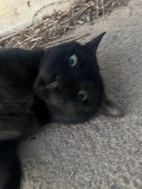 I think I really fucked up :(