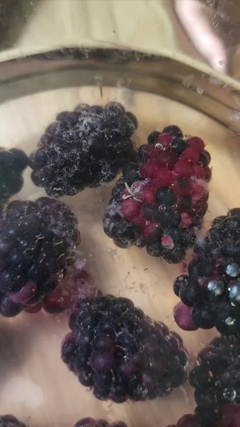 Washing your fruits with water and vinegar gets the fruit flies worms out!