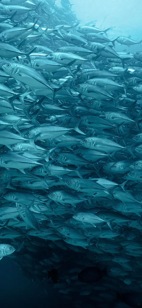 Underwater is just space with better lighting.