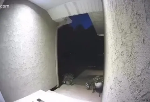 Dad joins in on the fun