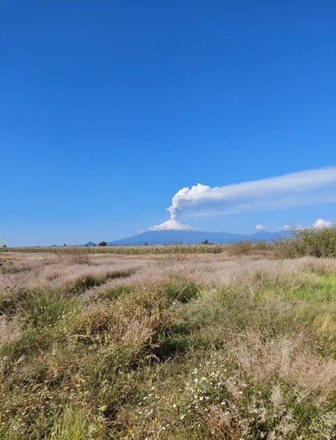 🔥still active 🔥