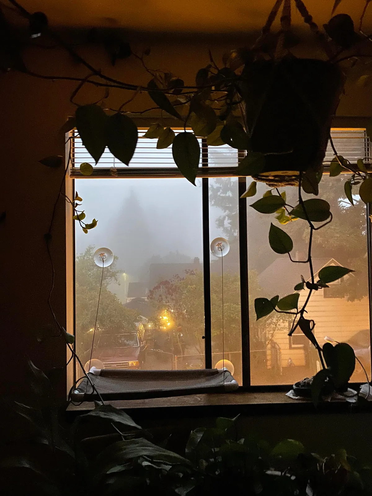 I’m 30 and finally able to live on my own in my own place ❤️