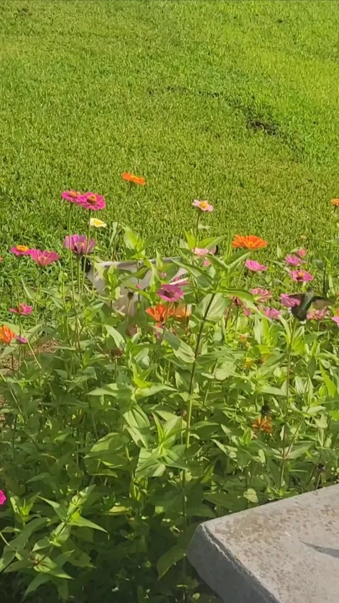 Signs that you are doing the right things. 