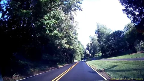 [OC] Caught my first one! Be careful out there