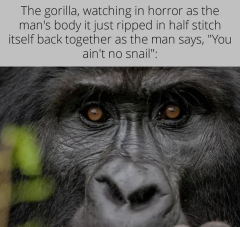 *insert piano music here*