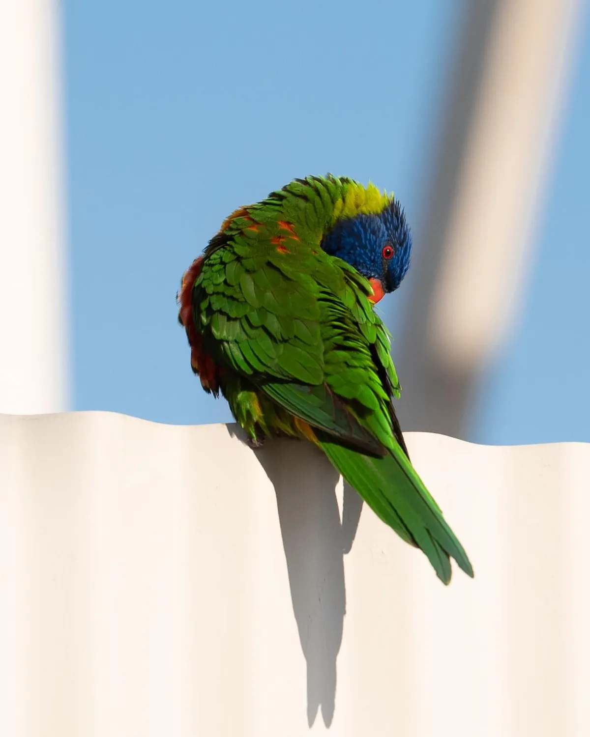 Photos from in and around Melbourne, Australia. 