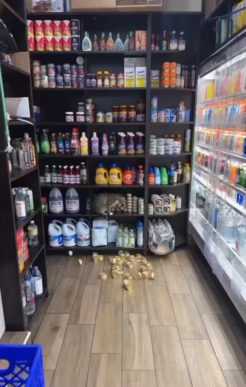 Providing brief moments of excitement 