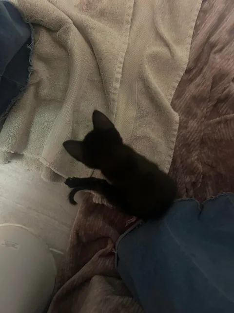 The CDS got me at a Jiffy Lube