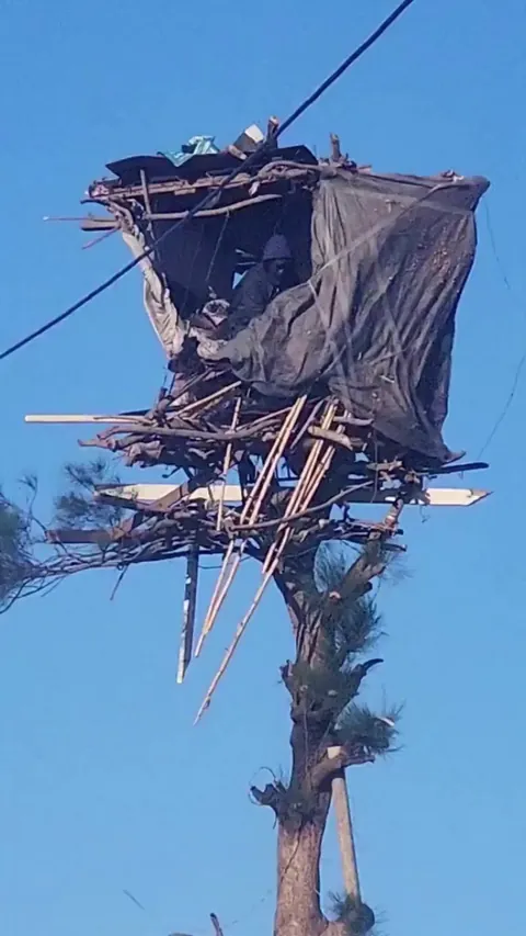Man living in a very dangerously built tree house.