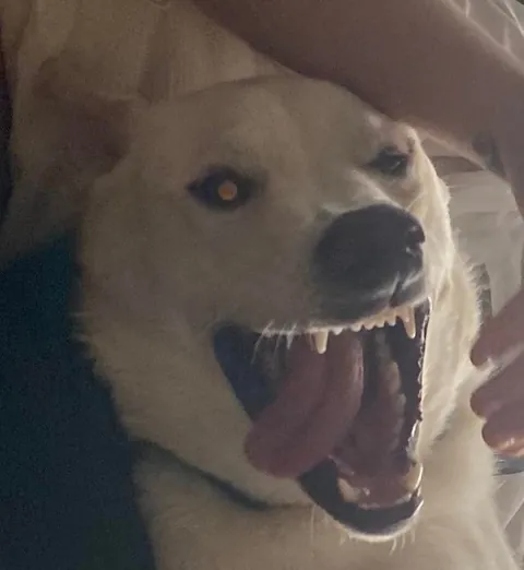 Fern update 1yr later