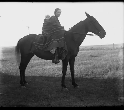 the dry plate negative saga continues
