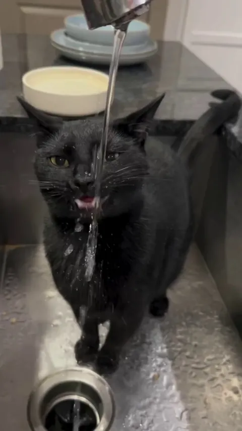 Speedy Hydration System.