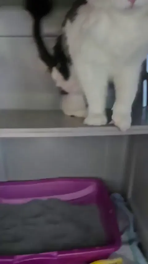 William from our shelter is starting to like us. ❤️