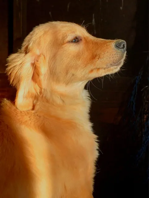 Our new family member Peanut