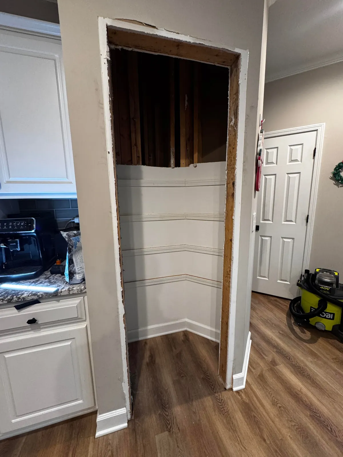 Second big home project! Gutted our old pantry closet
