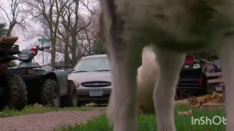 When you just ordinary but have a badass friend