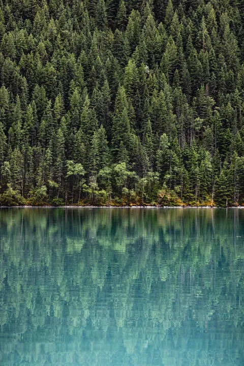 Reflections in Kinney Lake, Mount Robson Provincial Park [OC] [1334x2000]