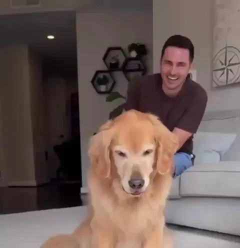 "Why aren't you backing it up human?"