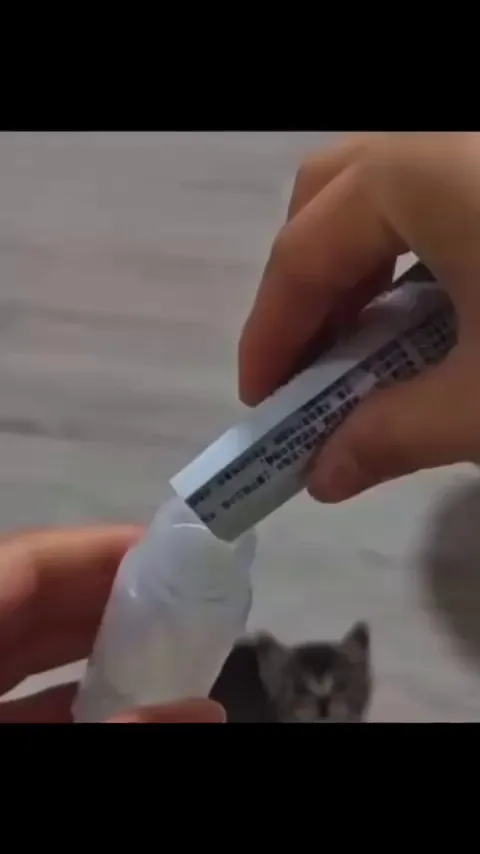 Poor fellow got starved for WHOLE OF 1 MINUTE 😔