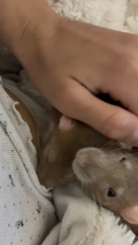 Shame her! I thought we were having a cute moment…