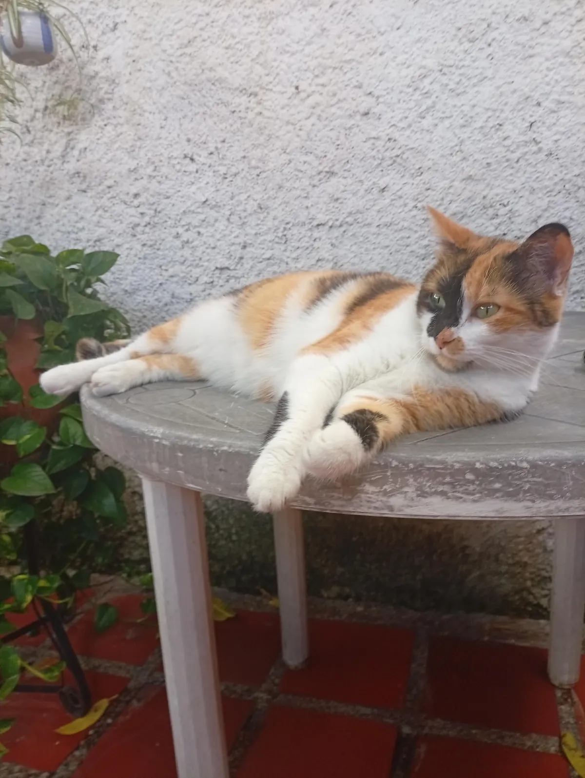 Every time I say his name he turns around and looks me in the eyes