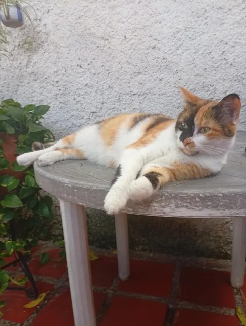 Every time I say his name he turns around and looks me in the eyes