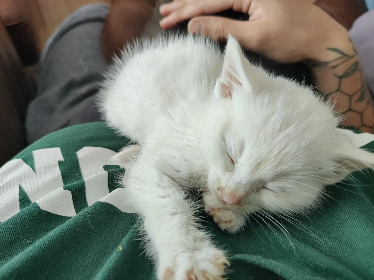 I need a name ending in o for this cutie